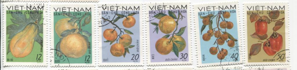 1969 ВьетНам  Фрукты 6м.гаш