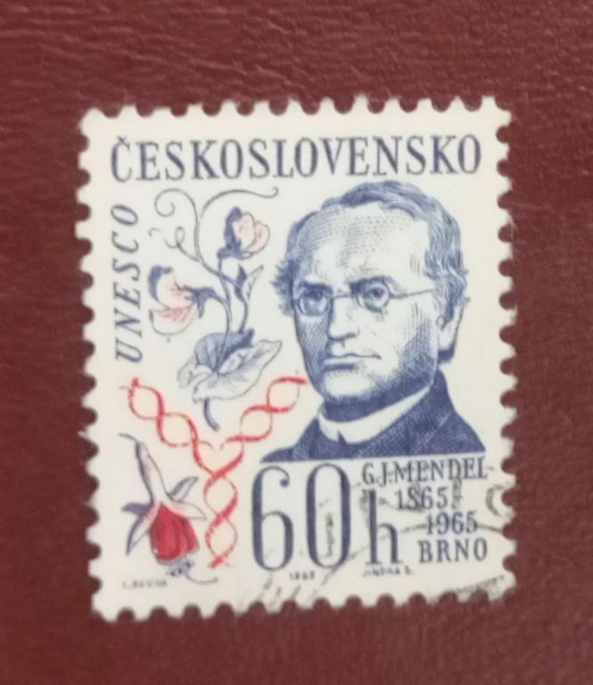 Чехословакия 1965 год Иоганн Грегор Мендель - Генетик 1865-1965 гг. Гаш