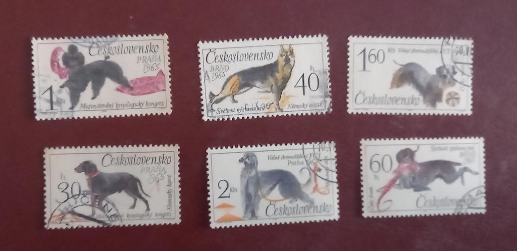 Чехословакия 1965 год Всемирная выставка собак в Брно Породы собак  Гаш 2
