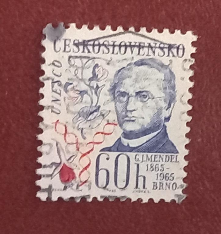Чехословакия 1965 год Иоганн Грегор Мендель - Генетик 1865-1965 гг. Гаш 3