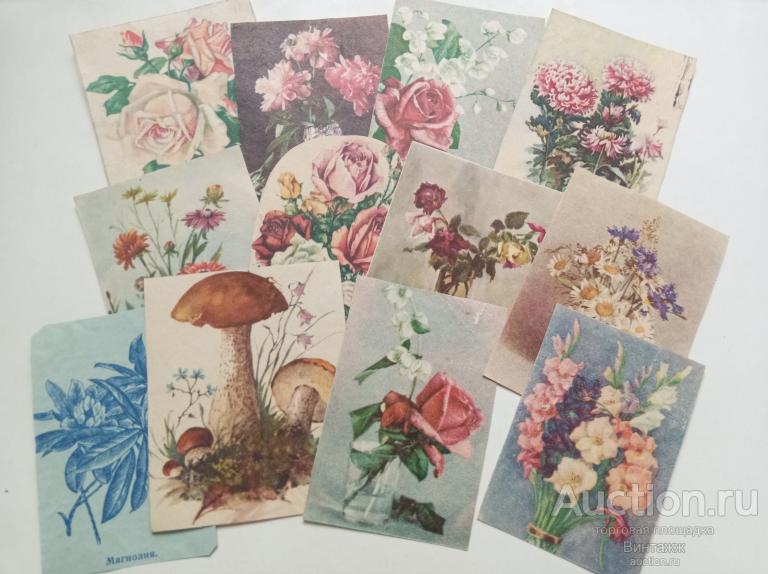 Вырезки из советских конвертов ЦВЕТЫ  для коллекции или скрапбукинга 12шт
