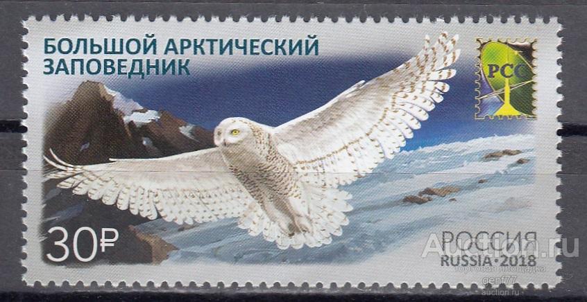 РОССИЯ  2018  Арктический заповедник Фауна Сова Птицы Сост**   MNH