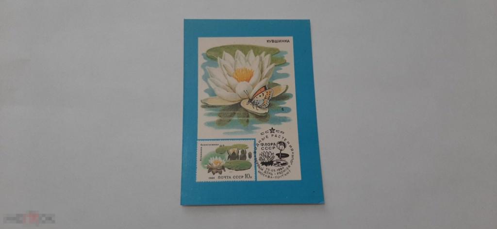 Календарик 1991 год. Кувшинка (130)