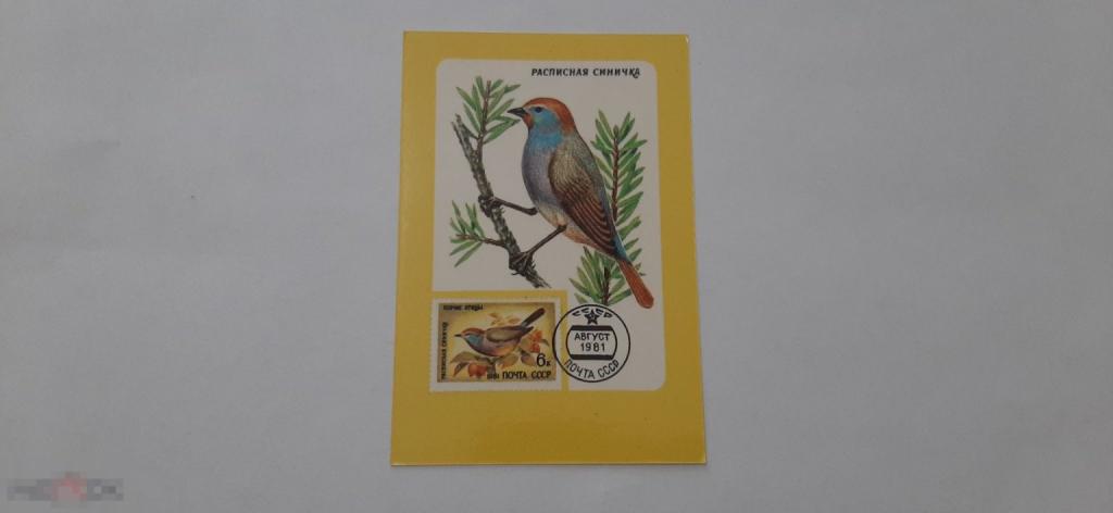Календарик 1989 год. Расписная синичка (127)