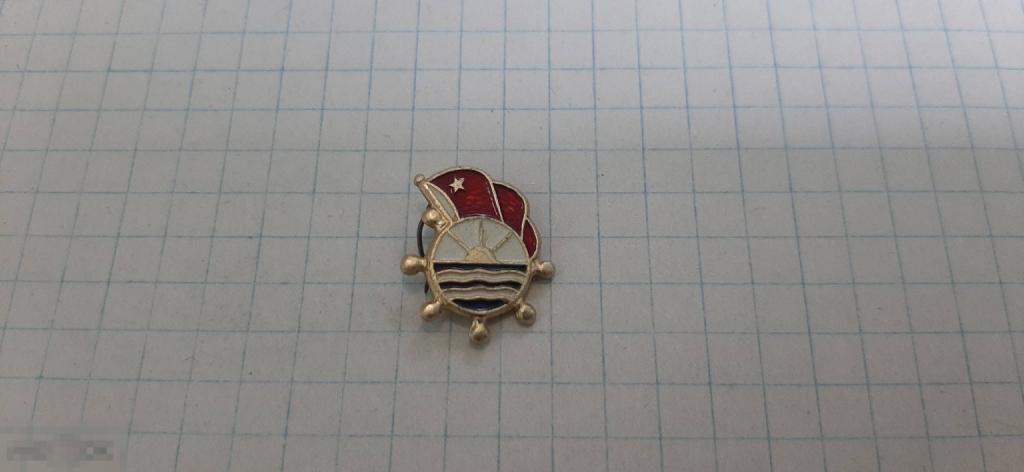 Значок ДСО Водник (45.3)