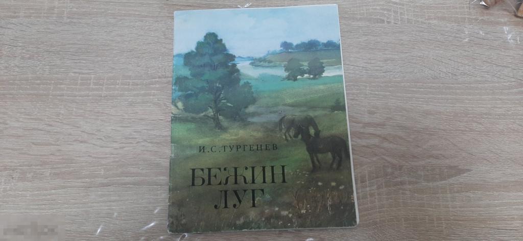 Книга И С Тургенев Бежин луг (191 Б)