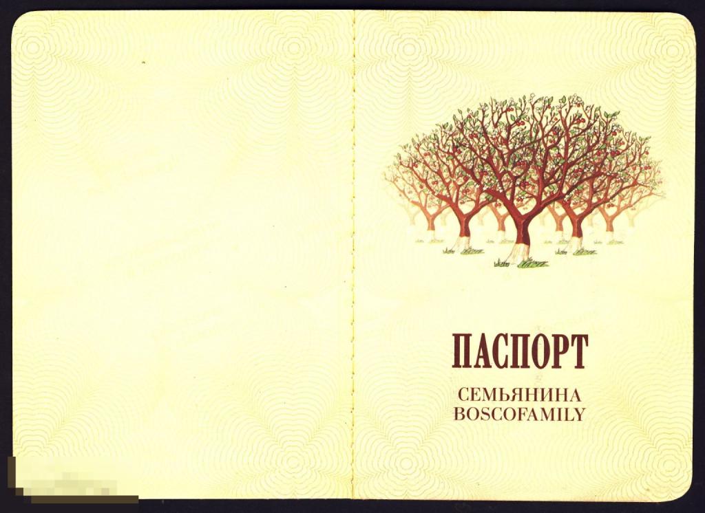 Документ в коллекцию. Паспорт Семьянина. 2009 год.