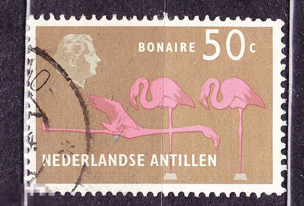 Антильские острова Антилы 1973 Фауна птицы фламинго