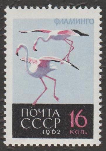 1962 г. 2790-2794. Птицы. Марка № 2794. (5)