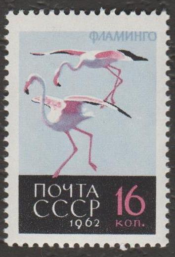 1962 г. 2790-2794. Птицы. Марка № 2794. (3)