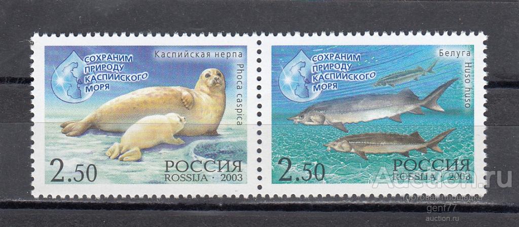 РОССИЯ  2003  Фауна Нерпа Белуга Совместный выпуск Иран-Россия Сцепка Сост**   MNH