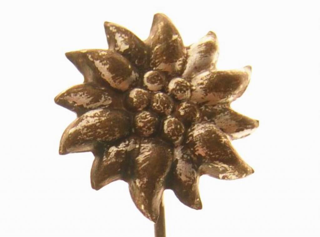 Альпийский фрачный знак с Эдельвейсом