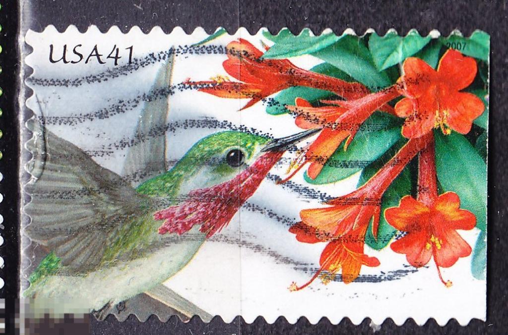 США Флора цветы растения