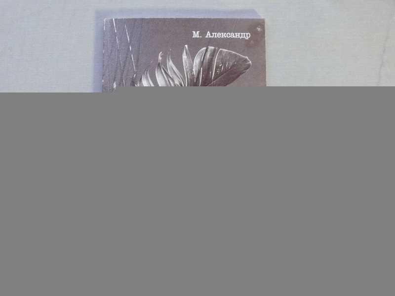 #1688896 Александр М. Геометрия крыла