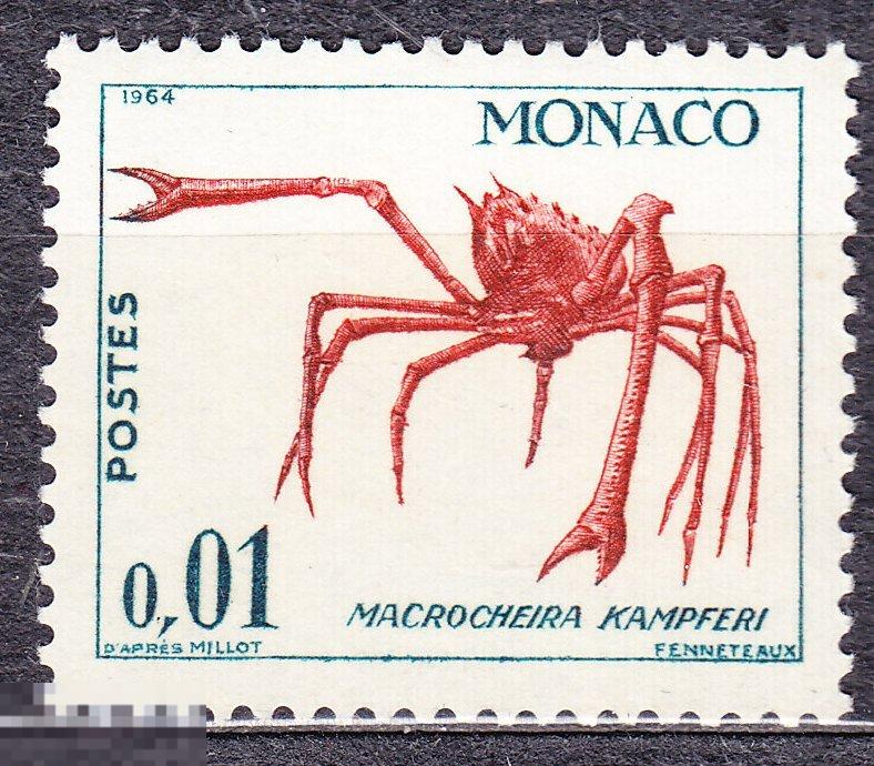 Монако 1964 морская фауна