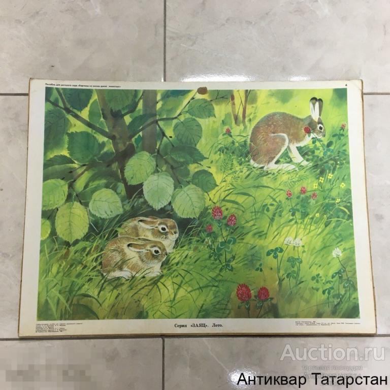 (17130)/10 Советский плакат Наглядное пособие для детских садов Издательство "Просвещение"  СССР