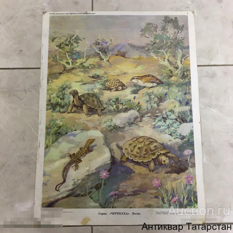 (17130)/4 Советский плакат Наглядное пособие для детских садов Издательство "Просвещение"  СССР