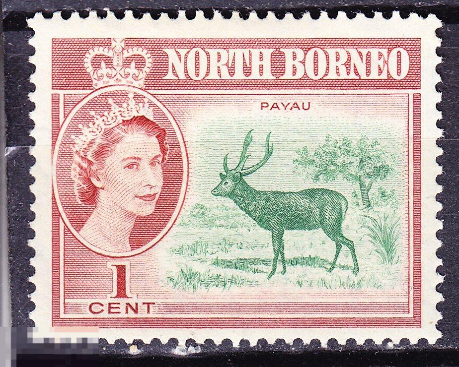 Северное Борнео фауна 1961
