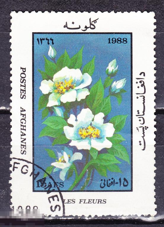 Афганистан 1988 Флора цветы