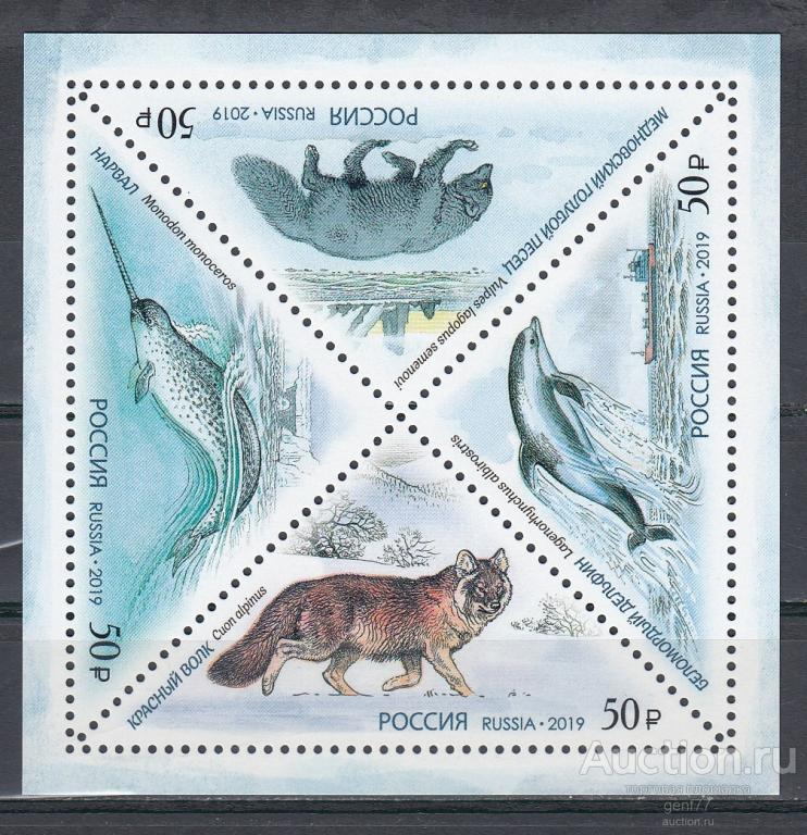 РОССИЯ  2019  Фауна России Красная книга Волк Песец  Блок  Сост**   MNH