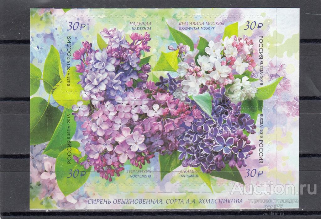 РОССИЯ  2016  Флора России Сирень Сцепка  Сост**   MNH