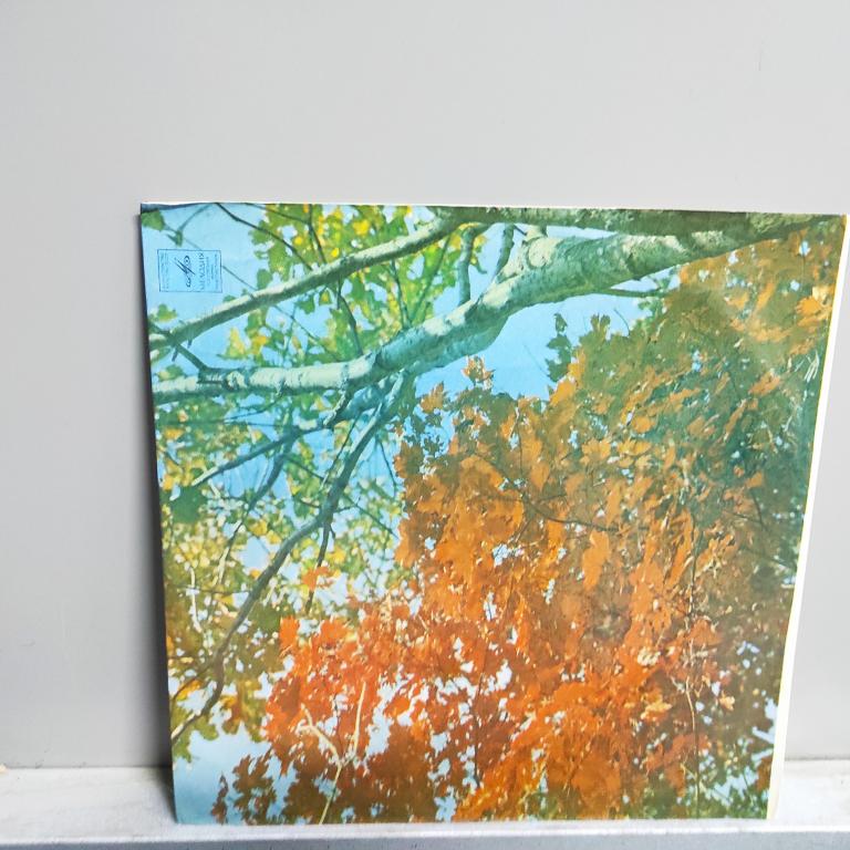 Пластинка Мелодии в танцевальных ритмах изд. Мелодия 1971 год