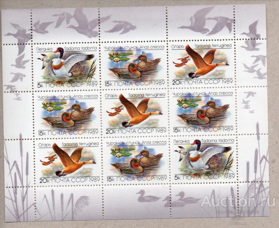 СССР 1989  Утки, птицы, фауна, МЛ ** ЧИСТАЯ