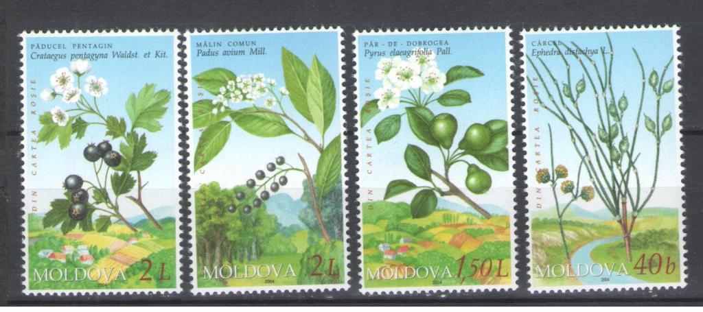 Молдова 2004г. Цветы, растения, серия. MNH.