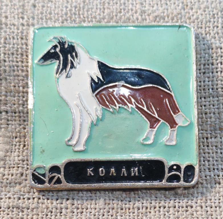 Колли, из набора - породы собак, детские, флора и фауна. СССР.