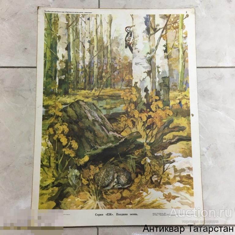 (17130)/13 Советский плакат Наглядное пособие для детских садов Издательство "Просвещение"  СССР