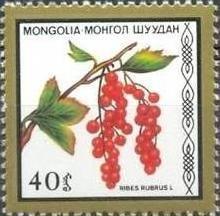 (1987-044) Сцепка (2 м) Монголия "Красная смородина" Съедобные ягоды III 