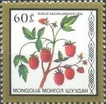 (1987-046) Марка Монголия "Малина" Съедобные ягоды III 
