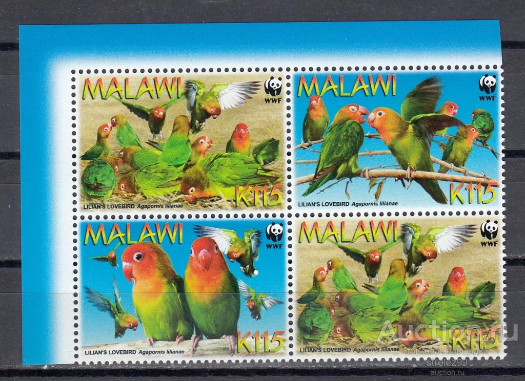MALAWI МАЛАВИ   Фауна Птицы  Попугаи  Серия WWF  2009  6 Евро   Сост** MNH