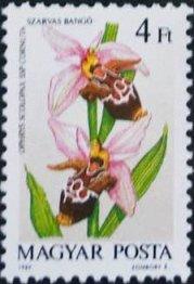 (1987-049) Марка Венгрия "Рогатый Офрид" Орхидеи II 