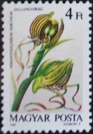 (1987-050) Марка Венгрия "Ремнелепестник" Орхидеи II 
