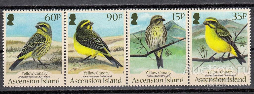 ASCENSION ISLAND ОСТРОВ ВОЗНЕСЕНИЯ  Фауна Птицы     Серия    2010 8 Евро   Сост** MNH