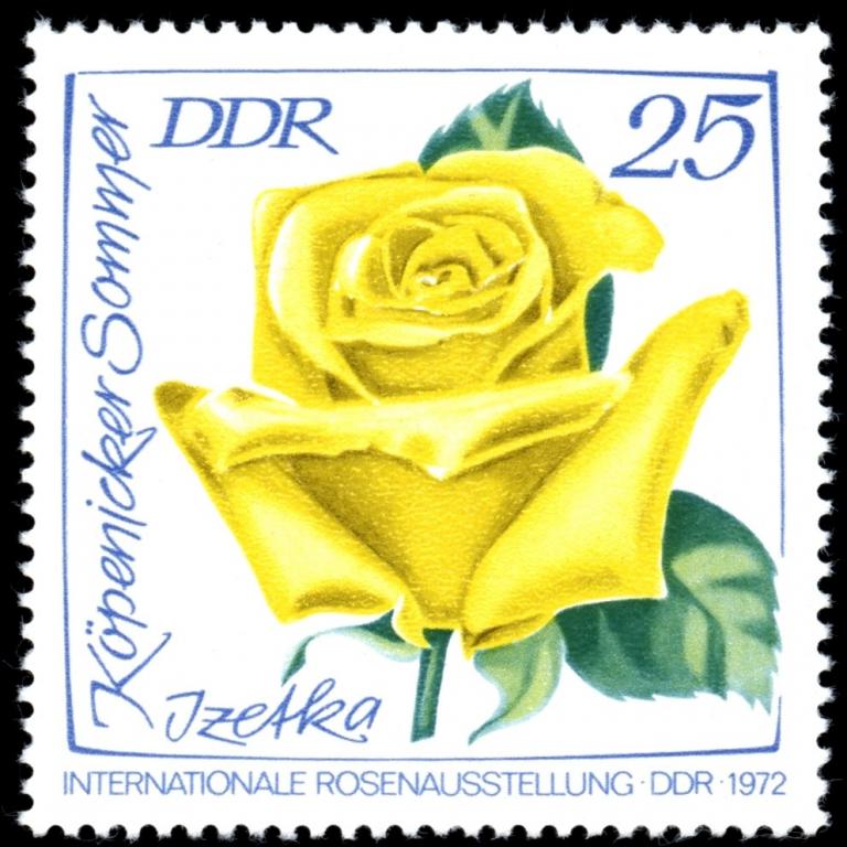 (1972-041) Марка Германия (ГДР) "Розы (5)" Выставка роз II 
