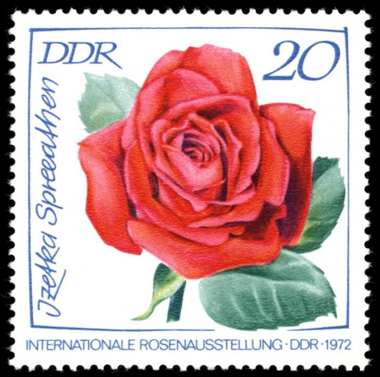 (1972-040) Марка Германия (ГДР) "Розы (4)" Выставка роз III 