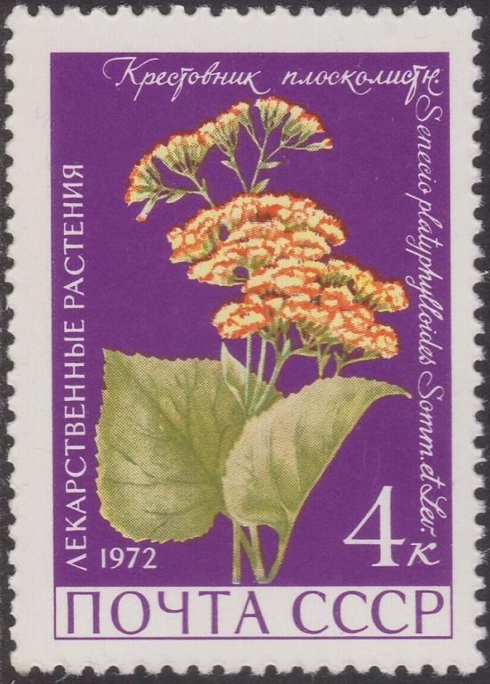 (1972-019) Марка СССР "Крестовник плосколистный" Лекарственные растения III O