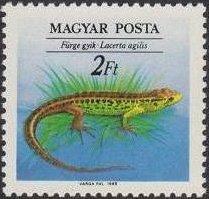 (1989-035) Марка Венгрия "Прыткая ящерица" Охрана природы. Рептилии II 