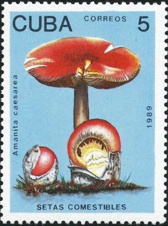 (1989-008) Марка Куба "Мухомор императорский" Съедобные грибы III 