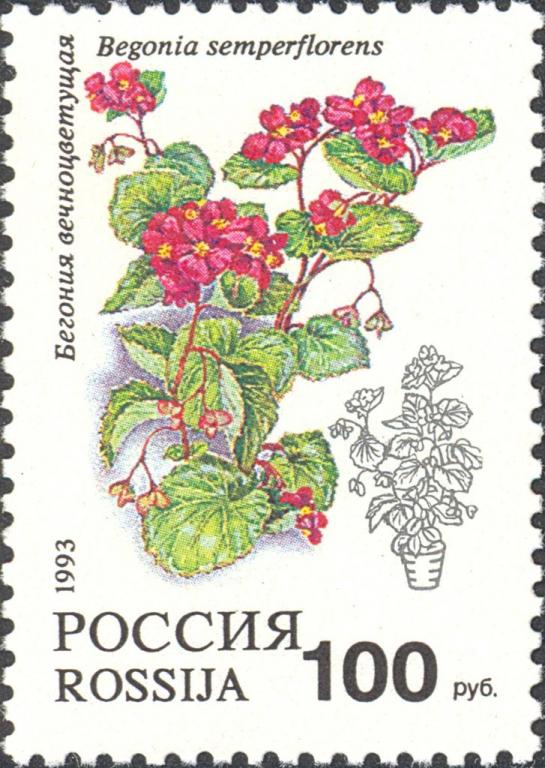 (1993-018) Марка Россия "Бегония вечноцветущая" Комнатные растения III O