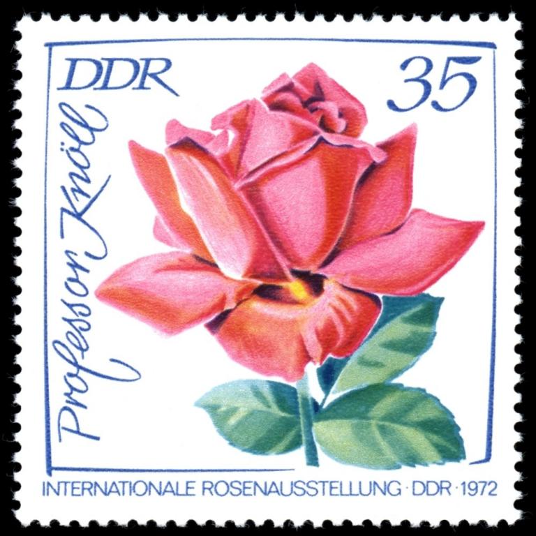(1972-042) Марка Германия (ГДР) "Розы (6)" Выставка роз II 