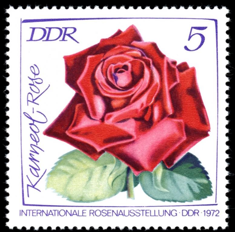 (1972-037) Марка Германия (ГДР) "Розы (1)" Выставка роз III 