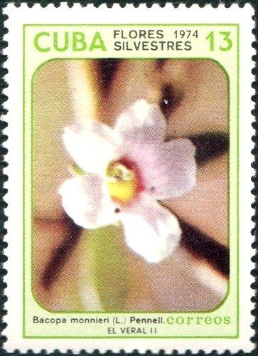 (1974-071) Марка Куба "Бакопа Монье" Полевые цветы III 