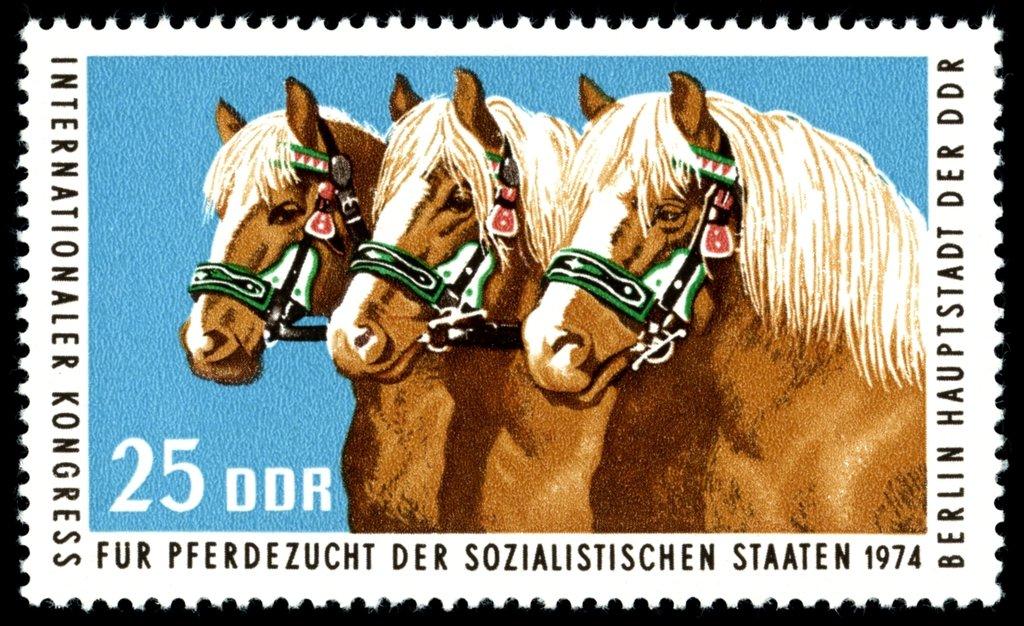 (1974-067) Марка Германия (ГДР) "Тройка" Конный спорт III 