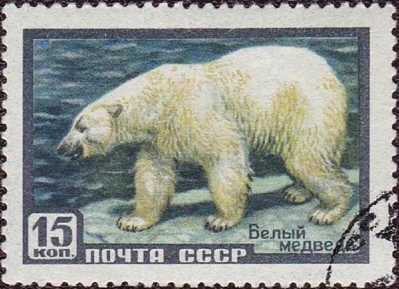 (1957-031) Марка СССР "Белый медведь" Фауна СССР II