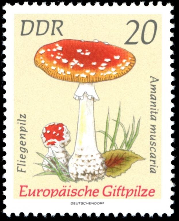 (1974-031) Марка Германия (ГДР) "Мухомор красный" Ядовитые грибы III 