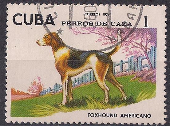 (1976-009) Марка Куба "Американский Фоксхаунд" Охотничья собака III 