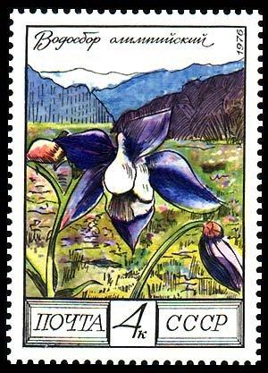 (1976-112) Марка СССР "Олимпийский водосбор" Цветы гор Кавказа III O